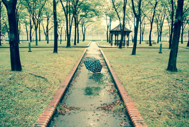 孤独的伞图片下载