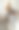 松鼠在一棵美丽的老树上吃东西。图片下载