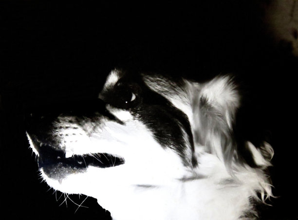 黑色的融合图片下载