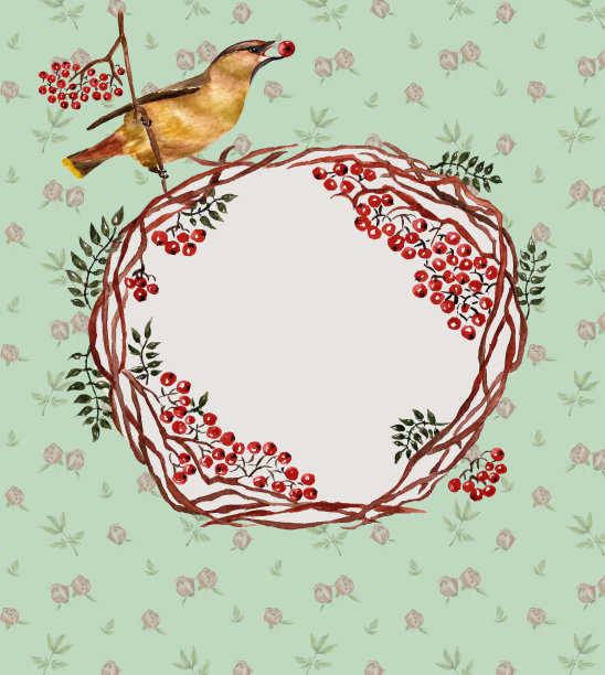 背景是鸟，花图片下载