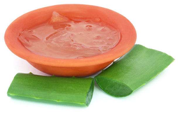 药用aloevera图片下载
