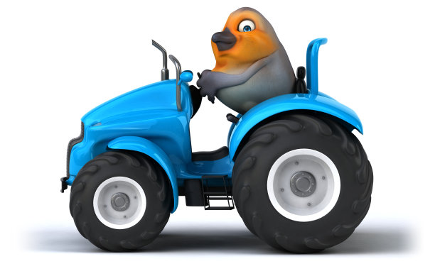 有趣的红罗宾图片下载