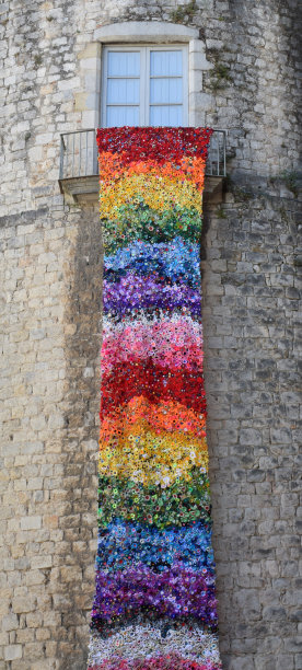 Gerona花的时间图片下载