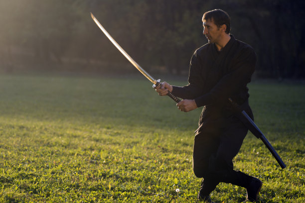 忍者与剑图片下载