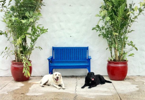 终身的朋友图片下载