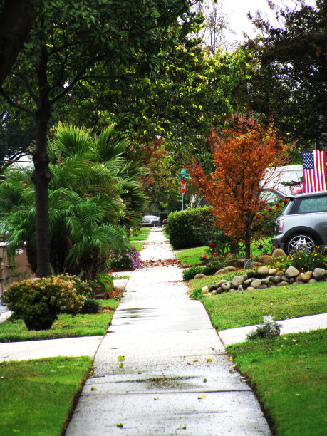 人行道上图片下载