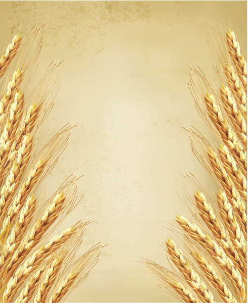 麦穗落在老穷人身上。矢量图图片下载
