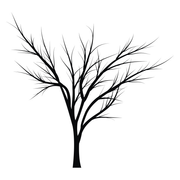 有枯枝的树图片下载