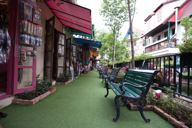 含羞草芭堤雅街图片下载