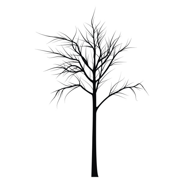 有枯枝的树图片下载