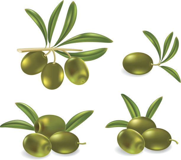 绿橄榄图片下载