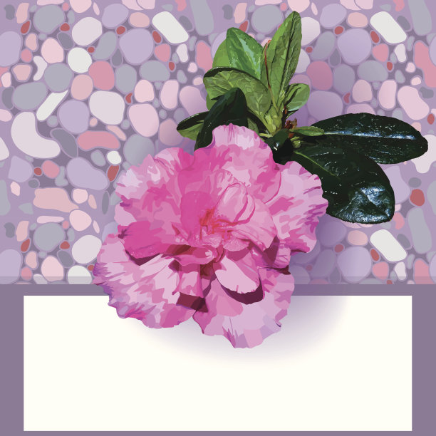 模板杜鹃花和海石图片下载