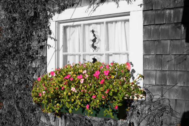 窗花箱图片下载