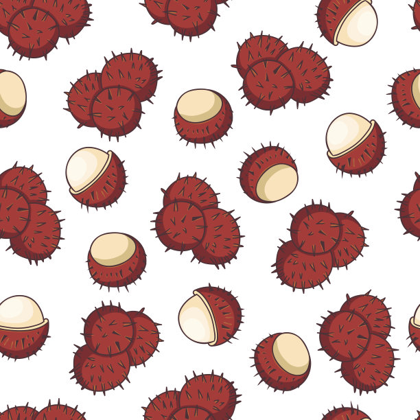 红毛丹果。无缝模式。收集异国水果。图片下载