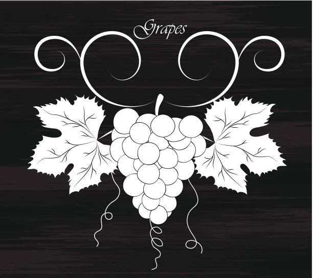 小道消息。矢量葡萄酒设计元素。图片下载