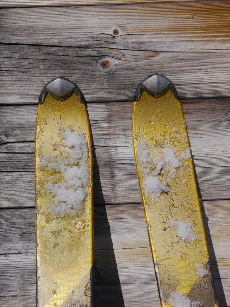 木雪滑雪图片下载