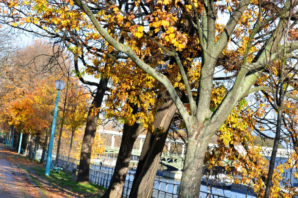 秋高气爽图片下载