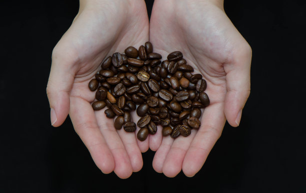 烤咖啡豆图片下载