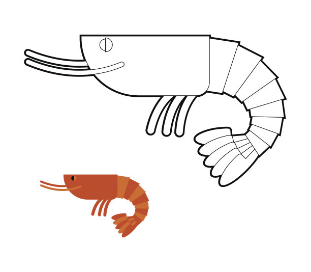 虾彩色书。小海洋角化癌。海洋浮游生物。图片下载