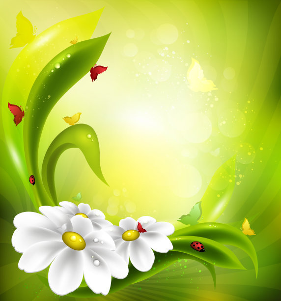 夏天的背景图片下载