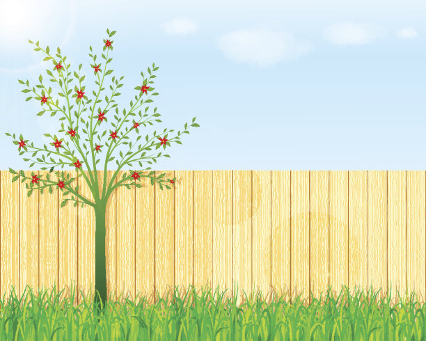 后院花园背景图片下载