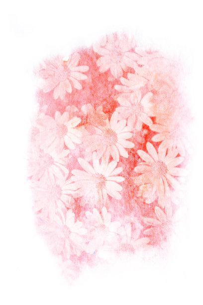 花水彩插图。图片下载