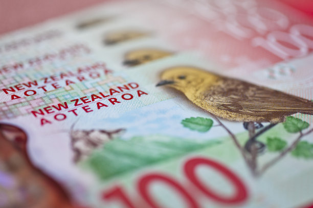 新西兰现金，钱或货币图片下载