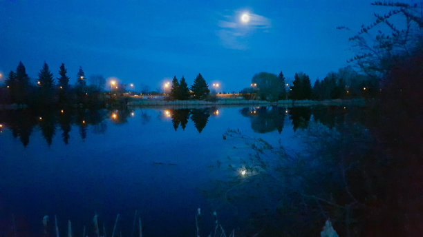 阴影之夜图片下载