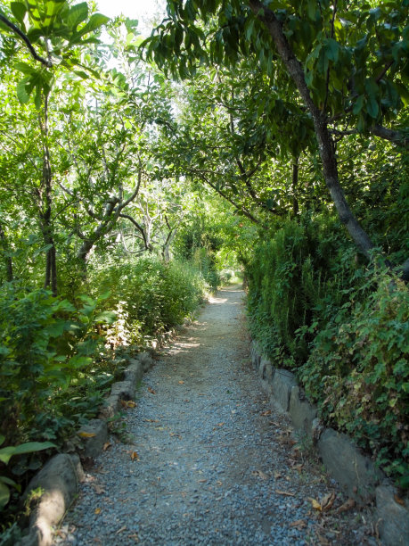 花园小径图片下载