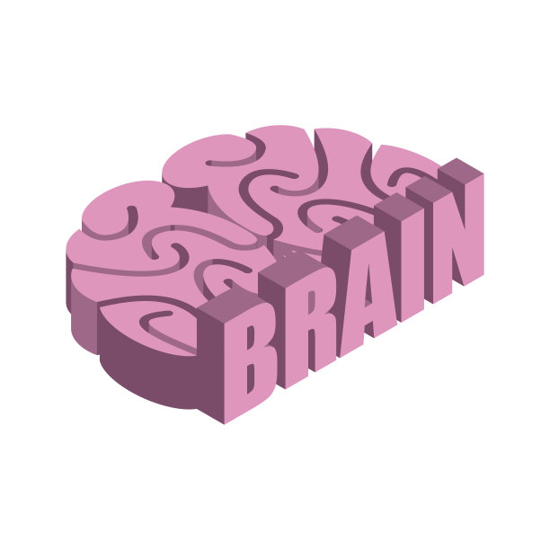 大脑孤立。白色背景下的人类大脑图片下载