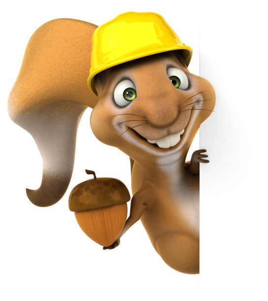 有趣的松鼠图片下载