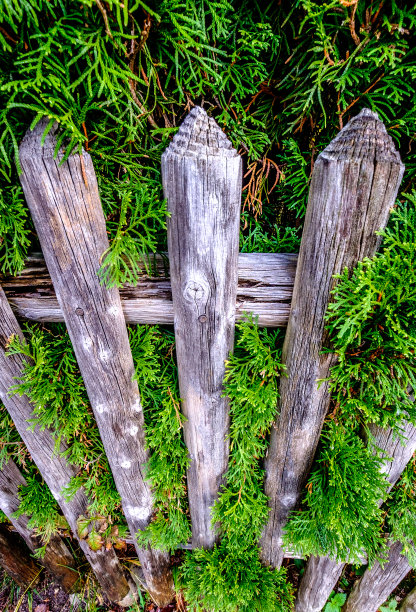 木栅栏图片下载