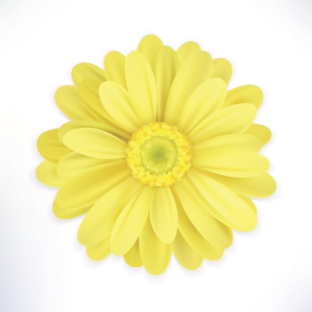 花孤立在白色背景上。现实的矢量图素材图片