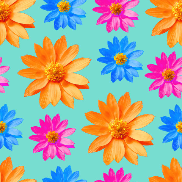 阿多尼斯。花型纹理无缝。花背景，照片拼贴图片下载