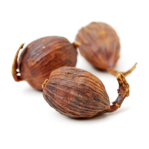 白色背景上的黑色小豆蔻图片下载