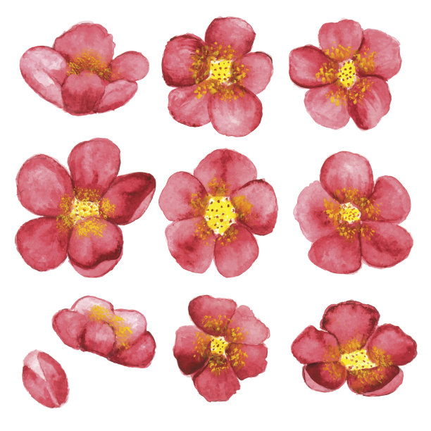 水彩樱花素描素材图片