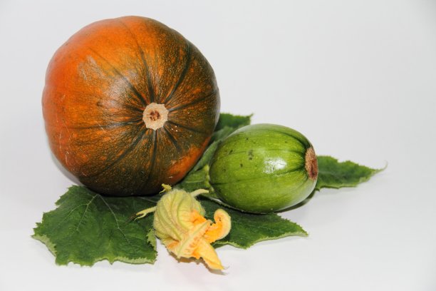 南瓜倍图片下载