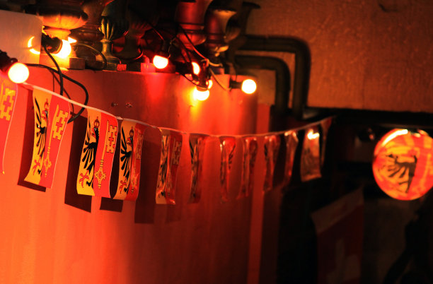 日内瓦的旗帜在晚上图片下载