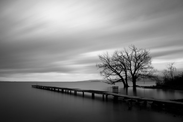 码头，静水和树木素材图片