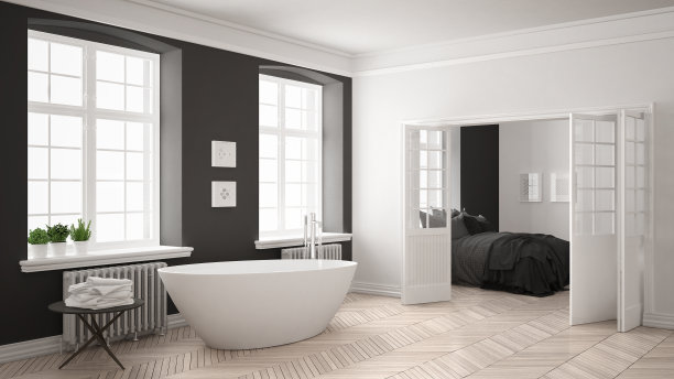 极简主义斯堪的纳维亚白色和灰色浴室与卧室的背景，经典的室内设计图片下载