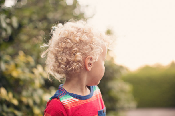 夏天男孩的肖像图片下载