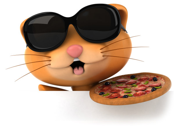 有趣的猫图片下载