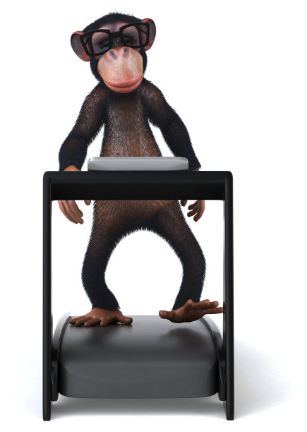 有趣的猴子图片下载