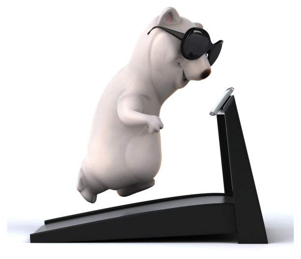 有趣的熊图片下载