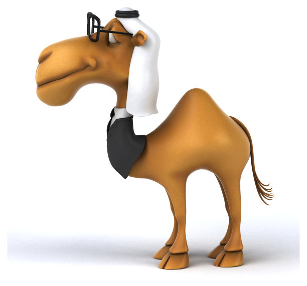有趣的骆驼图片下载