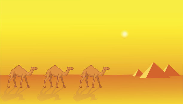 骆驼和金字塔图片下载