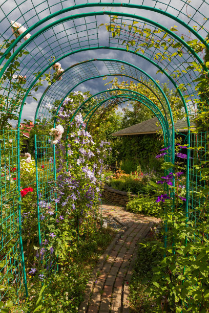 观家绿园图片下载