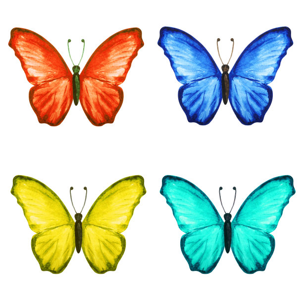 水彩画色彩斑斓的蝴蝶图片下载