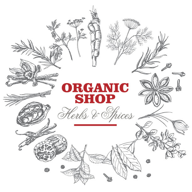 载体背景与分离香料和铭文在图片下载