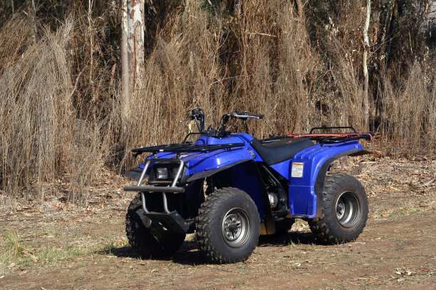 蓝色四图片下载